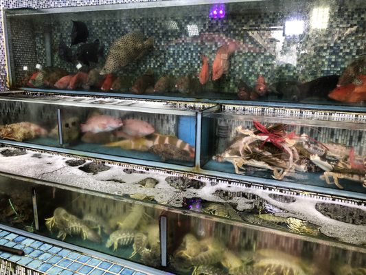 Sing Kee Seafood Restaurant by null