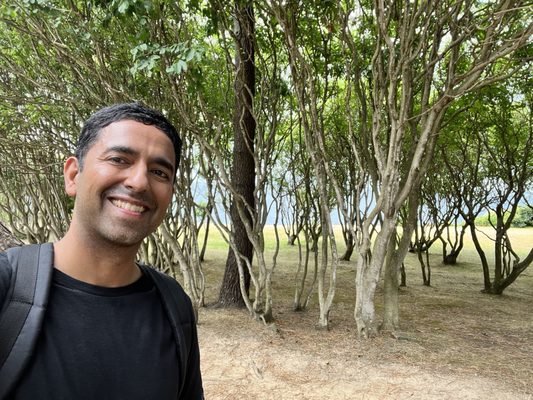 Palacio de la Magdalena by null