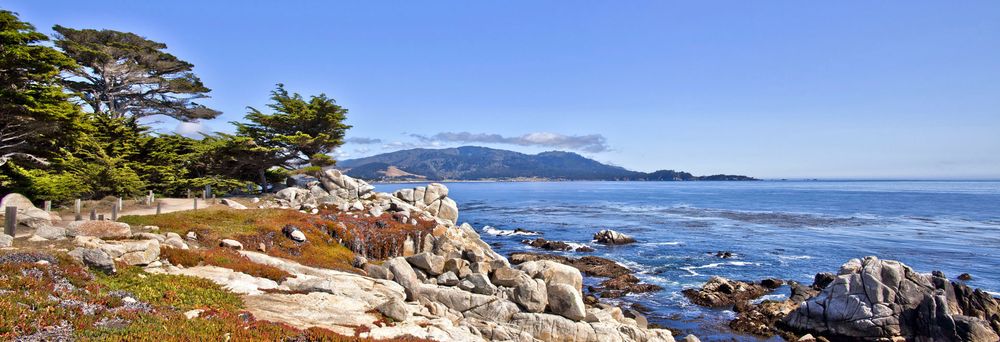 MONTEREY BAY PEST CONTROL Updated February 2025 17 Photos 41 MONTEREY BAY PEST CONTROL Updated February 2025 17 Photos 41