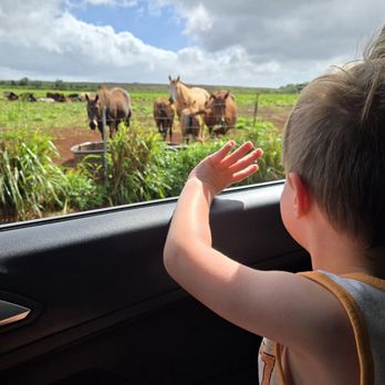 Sweet Land Farm - Cheese Shops Near Me - Waialua, Hawaii Sweet Land Farm - Cheese Shops Near Me - Waialua, Hawaii