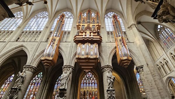 St. Michael & St. Gudula Cathedral by null