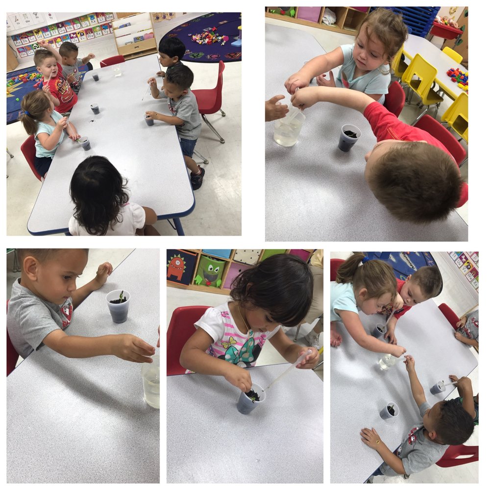 Newbridge Prep - childcare center in Lake Worth, FL