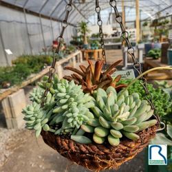 Riverbend Nurseries Garden Center