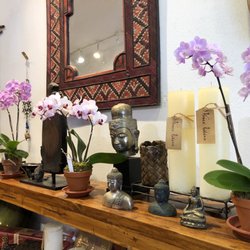 Orchids by Karen Gallery - Orchids