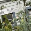 Gray's Garden Center gift card