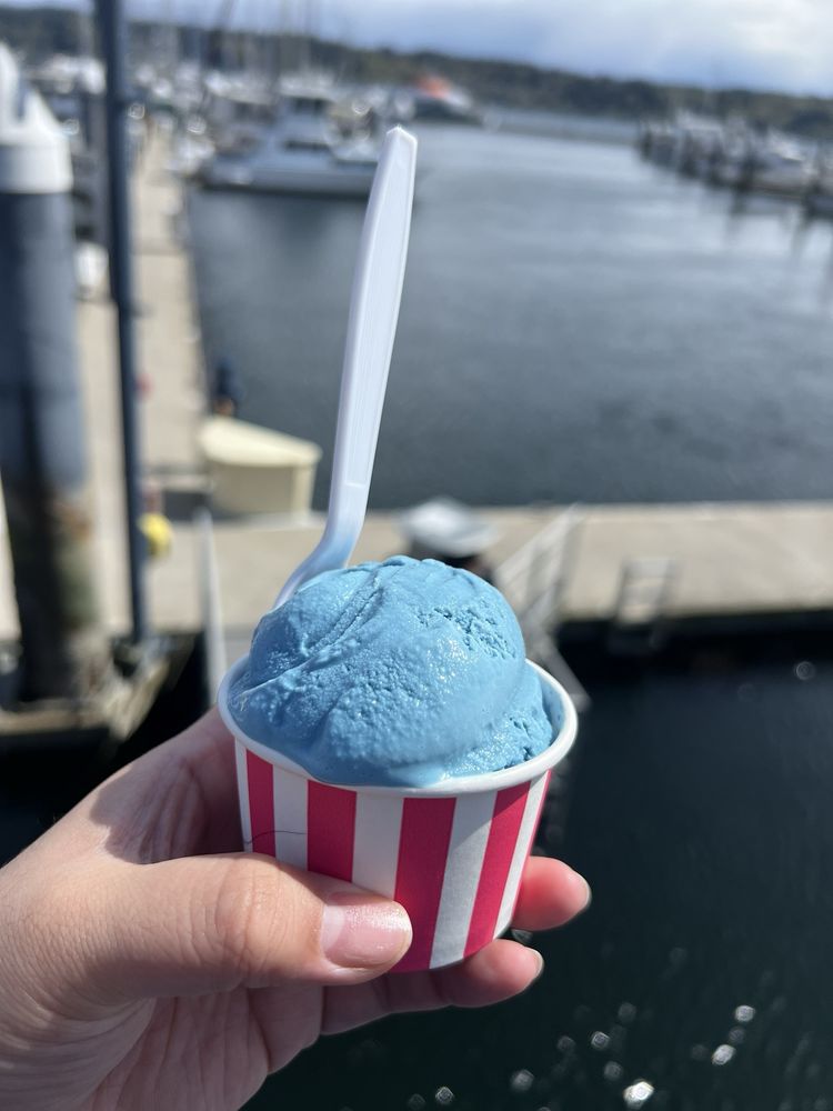 SCOOPS & BITES Updated September 2024 108 Photos & 56 Reviews 50