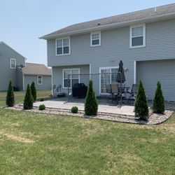 Rausch Tree and Outdoor Services