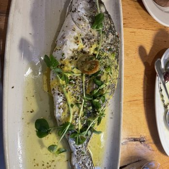 TAVERNA - Whole Fish - Greek Near Me - Palo Alto, California TAVERNA - Whole Fish - Greek Near Me - Palo Alto, California