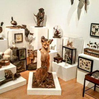 John Michael Kohler Arts Center - Art Galleries Near Me - Sheboygan, Wisconsin