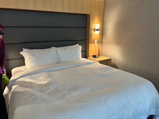 SoHo Hotel Toronto by null