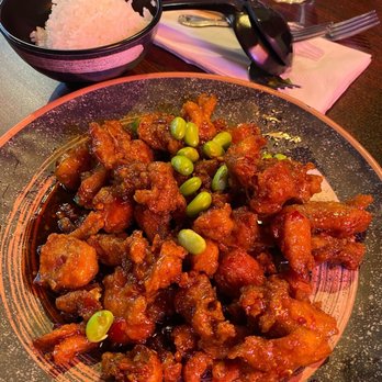 Good Chef Restaurant - General Tsos Chicken. - Asian Fusion Near Me - Miami, Florida