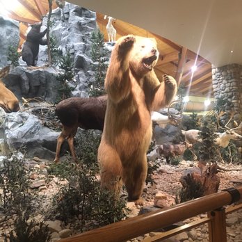 Cabela's - Outdoor Gear Near Me - Triadelphia, West Virginia