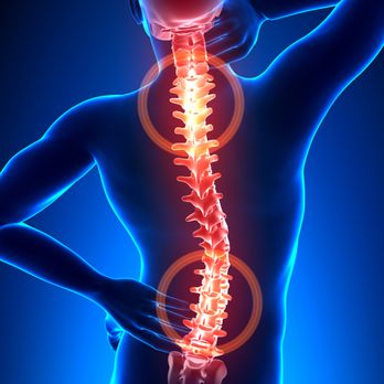 Active Chiropractic and Wellness Centre - Chiropractors are famous for helping back pain sufferers.  We actually treat and support the entire body in natural and holistic ways. - Chiropractors Near Me - Peterborough, Ontario