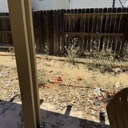 Q&F Junk Removal & Gardening Services - Before