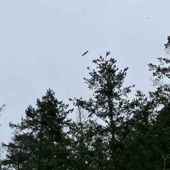 Lighthouse Park - Eagle. - Parks Near Me Lighthouse Park - Eagle. - Parks Near Me