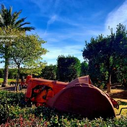 Gless Ranch Orange Groves. Riverside, CA. 1/28/2024