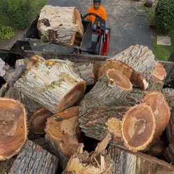 J & C Landscaping - Tree removal and stump grinding