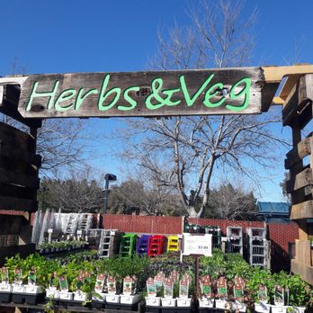 SummerWinds Nursery - Campbell - Nurseries & Gardening Near Me - Campbell, California SummerWinds Nursery - Campbell - Nurseries & Gardening Near Me - Campbell, California