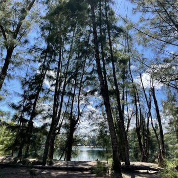 Wolf Lake Park - Parks Near Me - Davie, Florida Wolf Lake Park - Parks Near Me - Davie, Florida