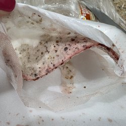 Stop & Shop - Moldy ground hamburger