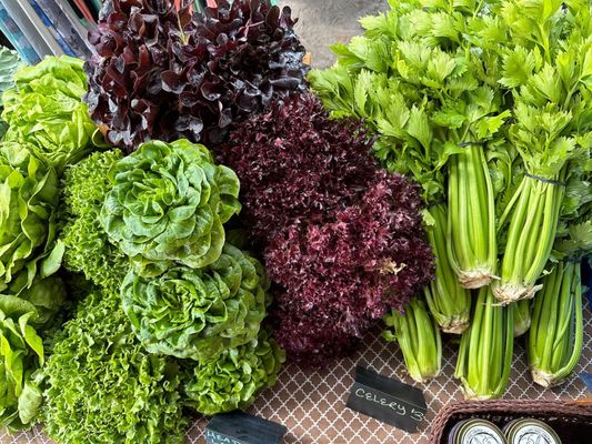 Sunday Brunch Farmers Market by null