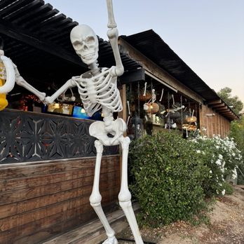 Side Yard Public House - Sports Bars Near Me - Escondido, California Side Yard Public House - Sports Bars Near Me - Escondido, California