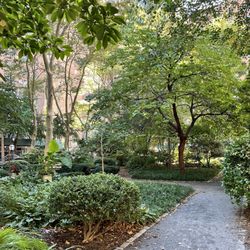 Tudor City Greens - Park is very green alright :p
