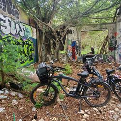 North Shore Bike Rentals