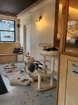 NEKO Cat Cafe Seattle by null