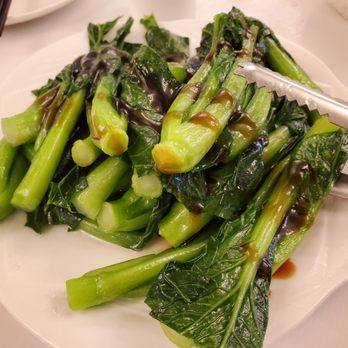Ming Seafood Restaurant - Yo choy with oyster sauce - Seafood Near Me - Quincy, Massachusetts Ming Seafood Restaurant - Yo choy with oyster sauce - Seafood Near Me - Quincy, Massachusetts