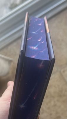 Literati Bookstore by null