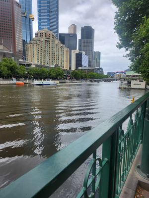 Arbory Bar & Eatery by null