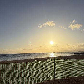 Hau Tree - Beach view - Seafood Near Me - Honolulu, Hawaii