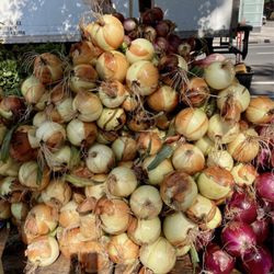 Morgiewicz Produce - 08/07/23