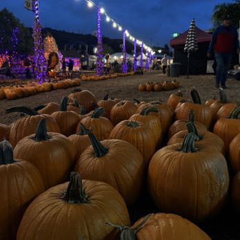 MrBones - Attraction Farms Near Me - Culver City, California MrBones - Attraction Farms Near Me - Culver City, California