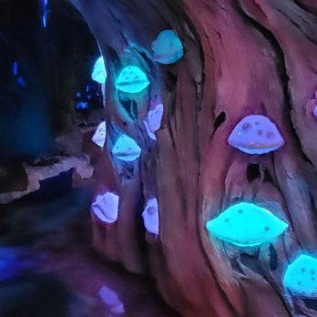 The Real Unreal - Meow Wolf - Very creative minds at work! - Art Museums Near Me - Grapevine, Texas The Real Unreal - Meow Wolf - Very creative minds at work! - Art Museums Near Me - Grapevine, Texas