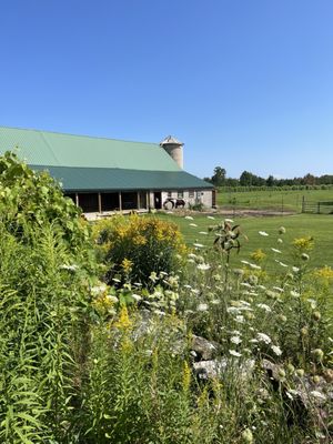 Northern Sun Winery and Vineyards by null