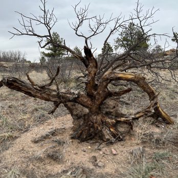 Castlewood Canyon State Park - Parks Near Me - Franktown, Colorado