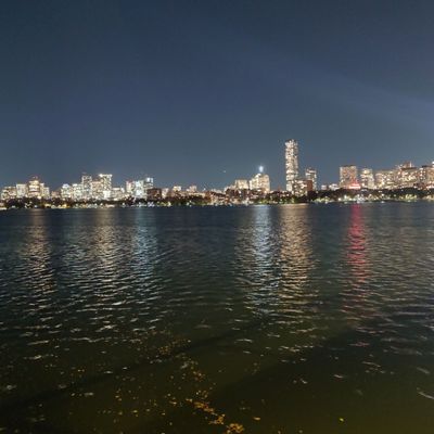 Charles River Esplanade by null