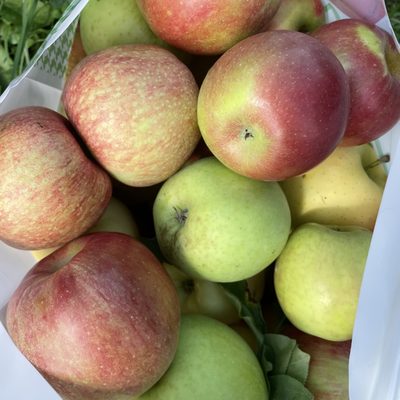 Stuarts Farm by null