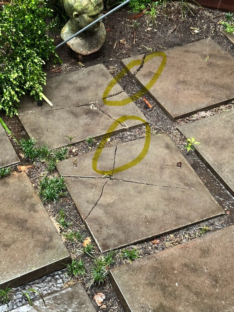 Bliss Tree Service - tree service in New Orleans, LA