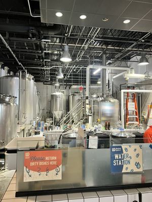 Working Draft Beer Company by null