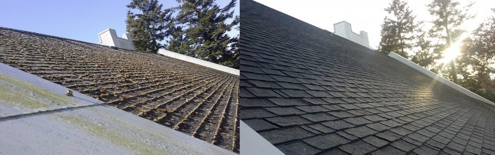 Slide of North West Fresh Roof