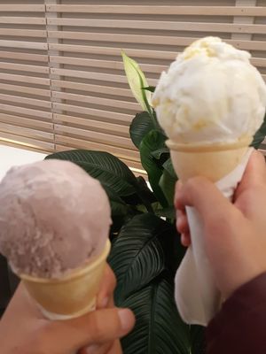 Elephant Garden Creamery by null