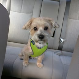 Link's first haircut. Link's first haircut.