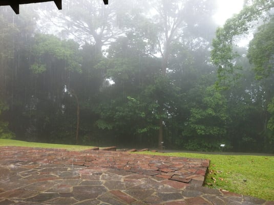 Bukit Timah Hill by null