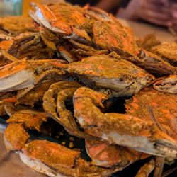 Madonna Seafood Restaurant
