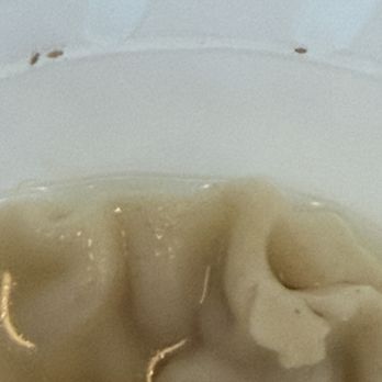 Asia Delight - Bugs in wonton soup - Chinese Near Me - San Lorenzo, California