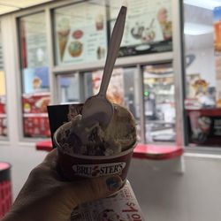 Bruster's Real Ice Cream - Chocolate peanut butter puddles & raspberry chocolate chunk