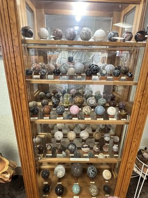 Petrified Wood Gallery by null